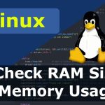 How to Check VPS RAM Usage via SSH