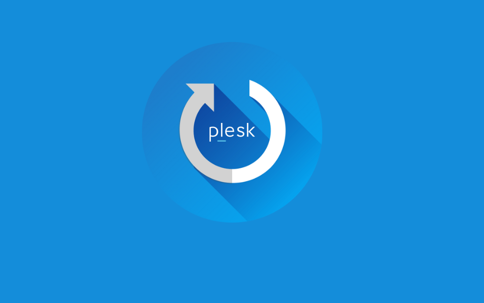 A Comprehensive Guide to Managing System Services on Plesk Servers